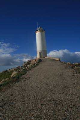 Faro roncudo