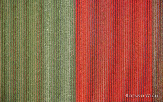 Holland - Tulip fields from the air