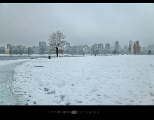 Wintry Vanier Park in Vancouver, BC, Canada