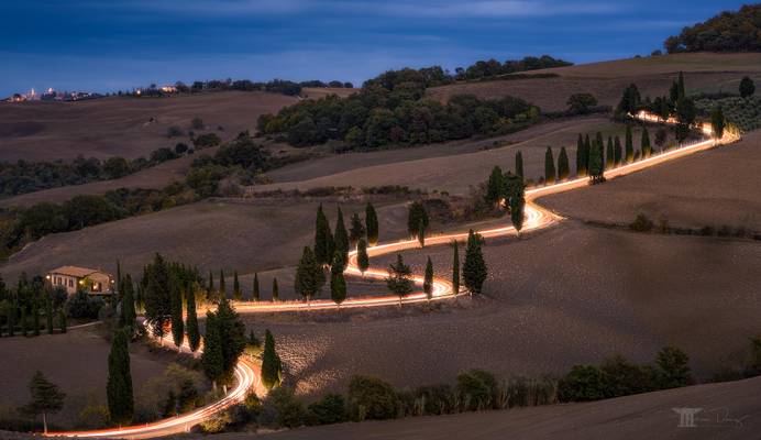 Glowing cypress road