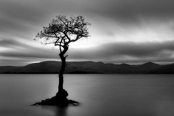 Milarrochy Bay Mono