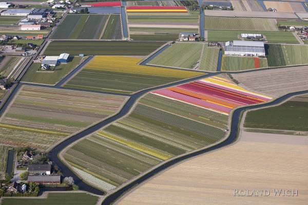Holland - Tulip Fields from the air