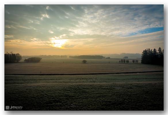 Misty morning