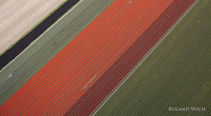 Holland - Flower Fields from the air