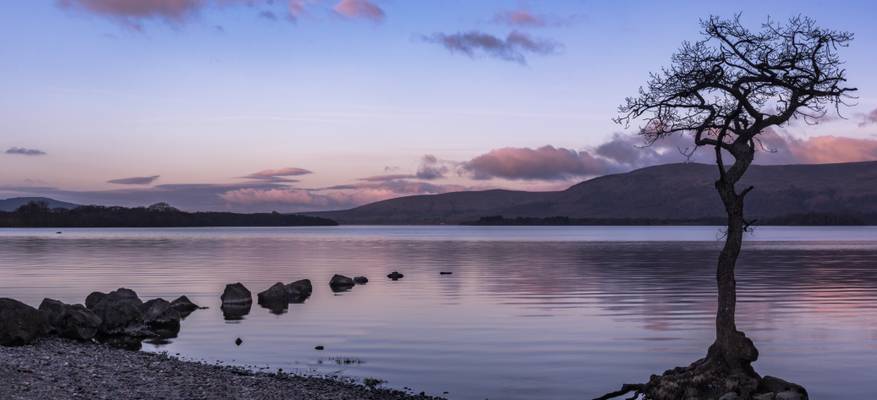 Milarrochy Bay, Loch Lomond