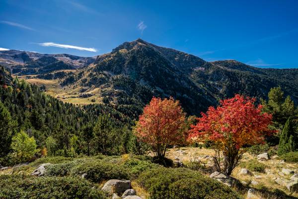 Perafita-Claror river, Pyrenees