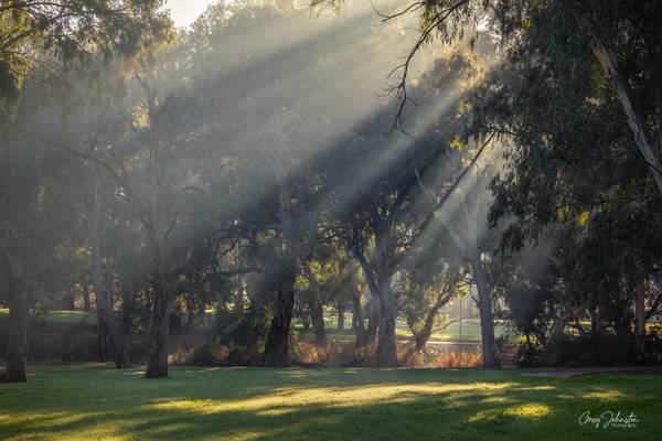 Curtain of light