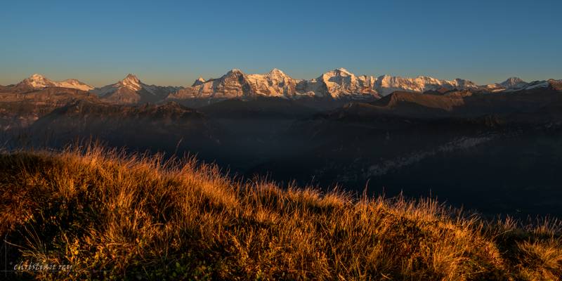 View on the Berner Alps from the Niederhorn