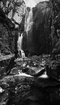 Wailing Widow Monochrome