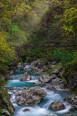 Divje Jezero