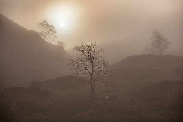 Misty Sun, Holme Fell, Lake District