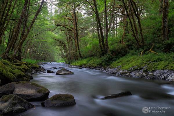 Nestucca River.jpg