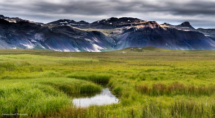 Verdant green.