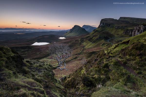 Return to the Quiraing Tree