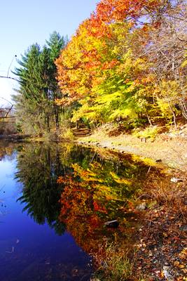 Autumn reflections, Fairfield, Connecticut