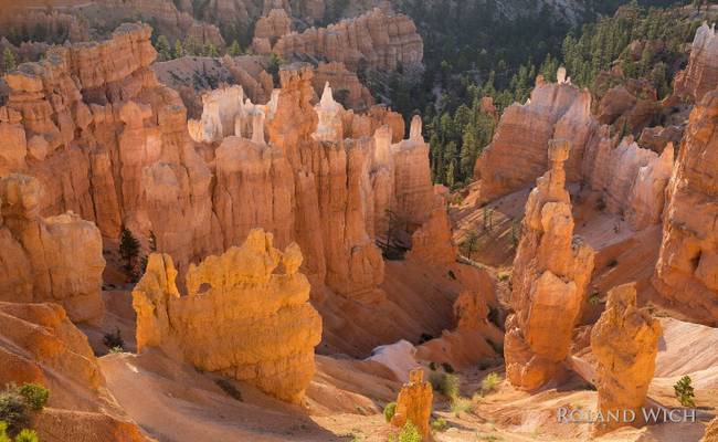 Bryce Canyon