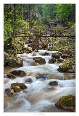 Bärenschützklamm