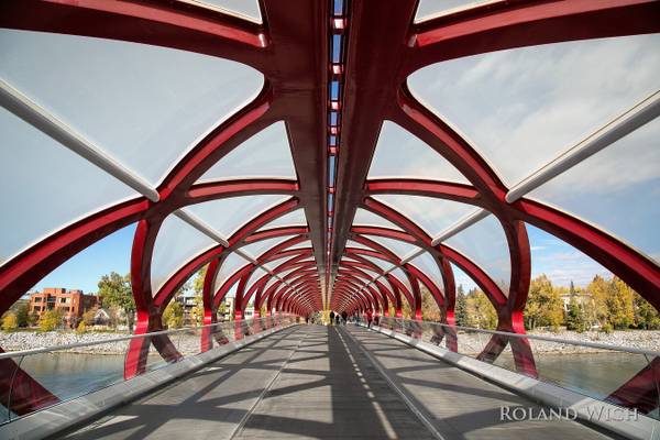 Calgary - Peace Bridge