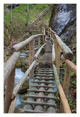 Bärenschützklamm