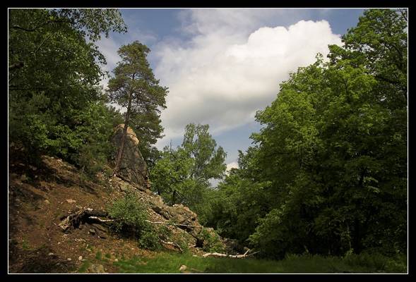 Rocks, trees and clouds