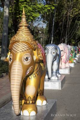 Bangkok Elephants II