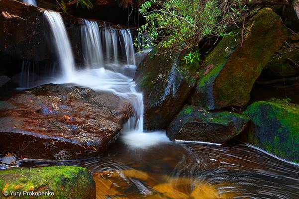 Small Waterfall in Ku-ring-gai Chase NP, Sydeny, Australia