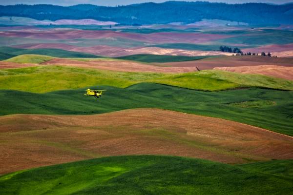 Crop Duster over the Palouse