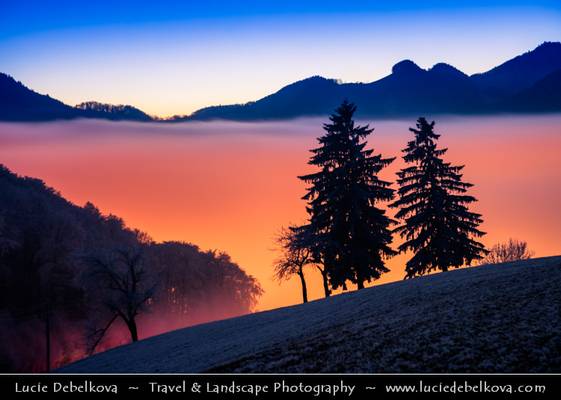 Switzerland - Jura Mountains - Juragebirge - Frozen winter snowy landscape submerged in sea of fog at Dusk