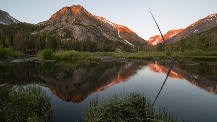 Light at Mill Creek