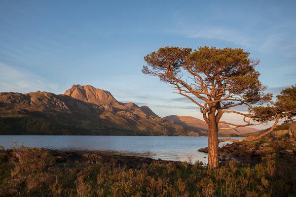 Highland Evening