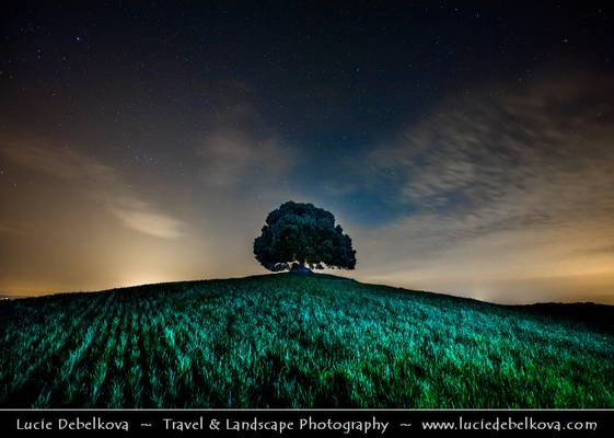 Italy - Tuscany - Val d'Orcia and Lonely Oak tree at Night