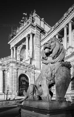 _MG_0392_web2 - Royal Hoffburg and its Lions