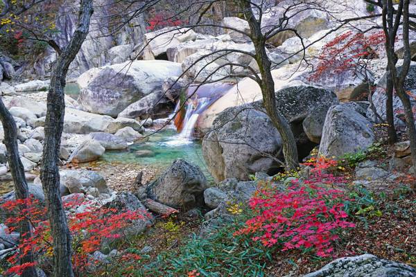 Singye stream in the frame of autumn colours, Kumgangsan, DPRK