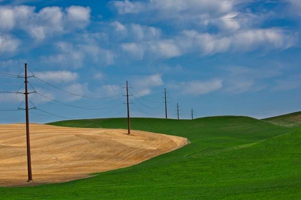 Power Lines in the Palouse