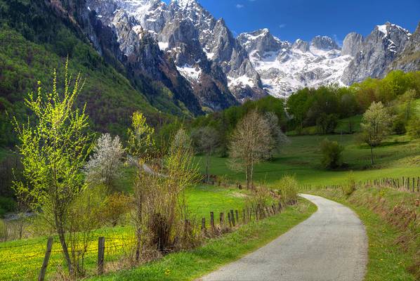 Road to the Accursed Mountains