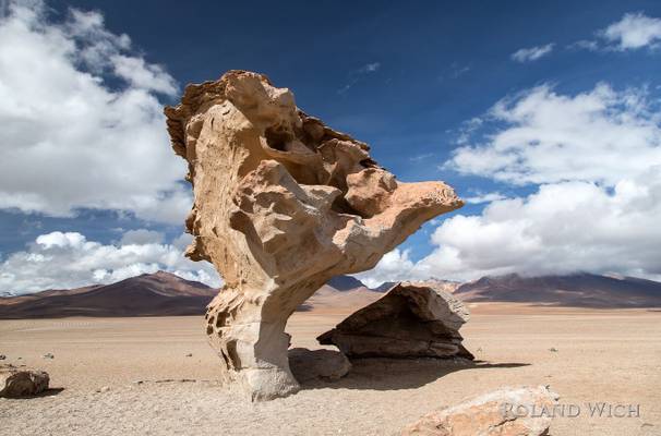 Bolivia - Arbol de Piedra