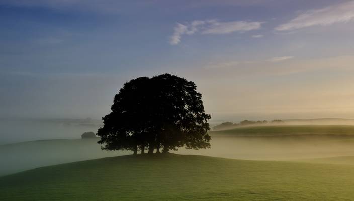 August mist