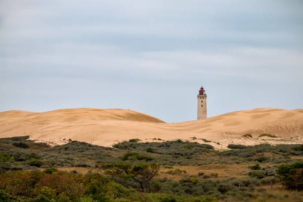 Lighthouse on the desert (Denmark)