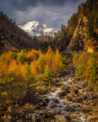 Autumn Creek, Nepal