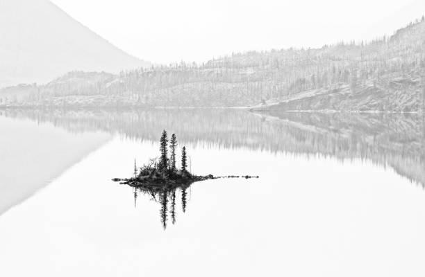 Wild Goose Island Reflection