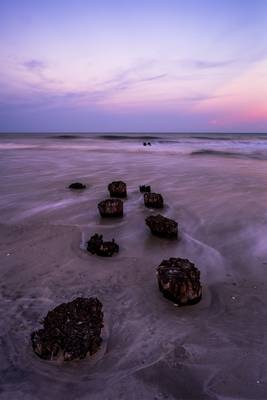 Stumps In The Sand