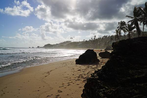 Beautiful morning on the beach, Bathsheba, Barbados