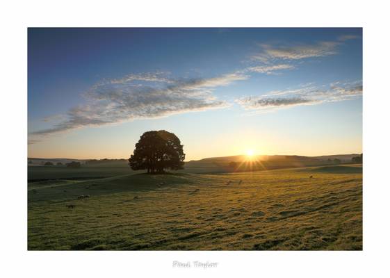 First Light at Eshton