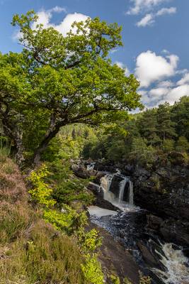 Rogie Falls