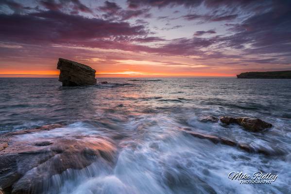 Charlies Garden ....