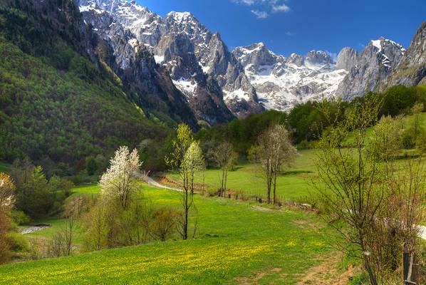 Road to the Accursed Mountains