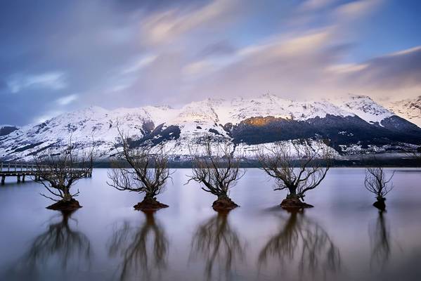Willows of Glenorchy