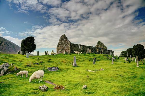Kilchrist Church (Cill Chriosd) with sheeps on the graveyard