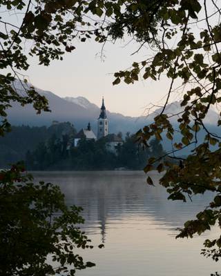 Church Framed In Bled