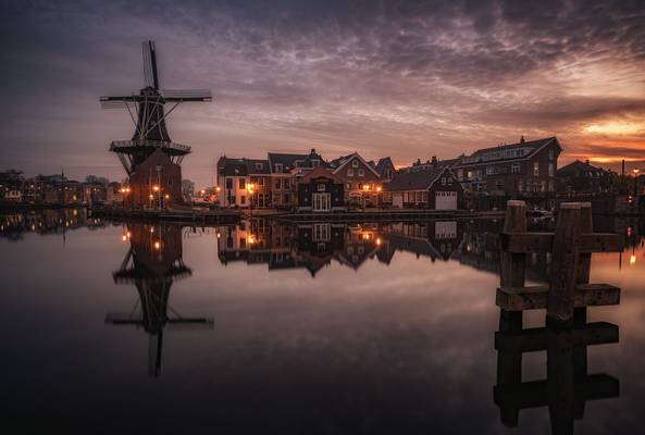 Dutch morning, Haarlem